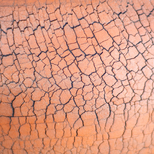 Osłonka Okrągła Spękana