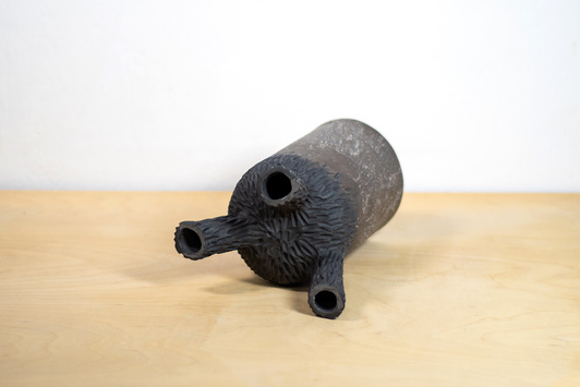 Osłonka Trójnoga Brązowa