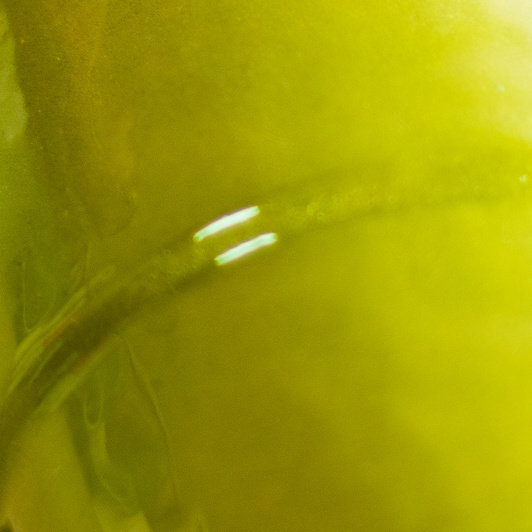 Kubeczek na kawę, zielonkawy