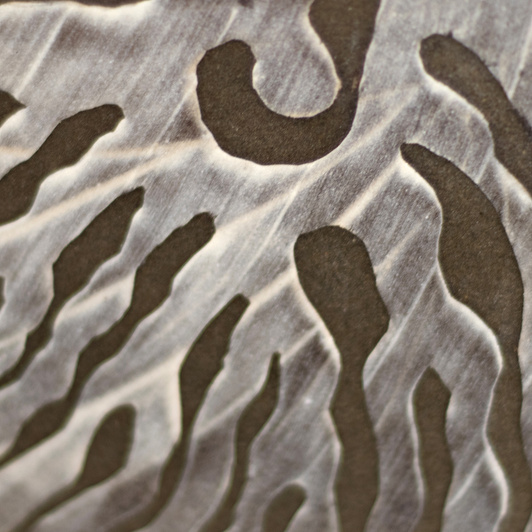 Talerz z motywem amonitu