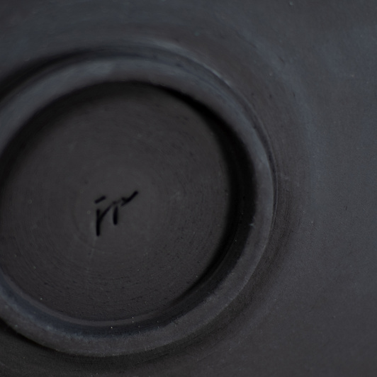 Talerz Relief paproć