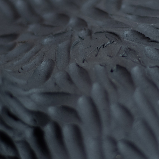 Osłonka Trójnoga Brązowa