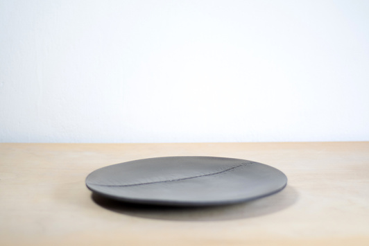 Talerz Relief paproć